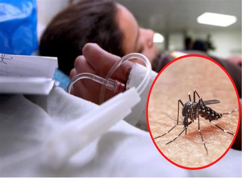 Perú enfrenta su peor brote de dengue con 107 fallecidos