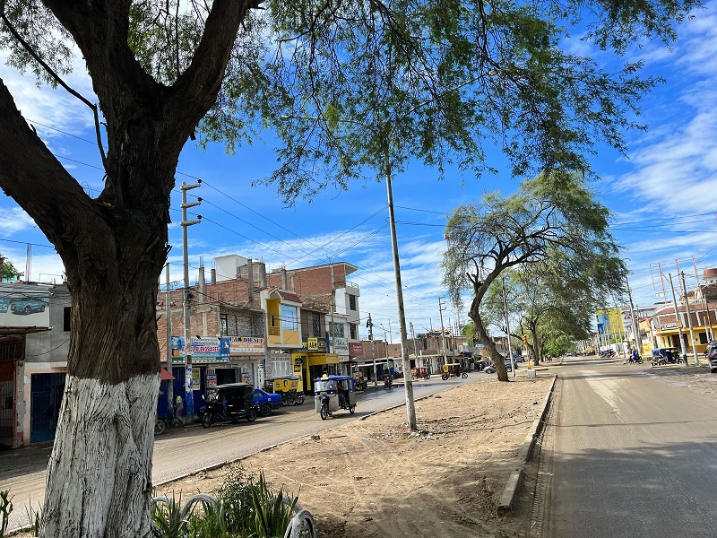 Se entregará Buena pro para la construcción  de la Avenida Buenos Aires
