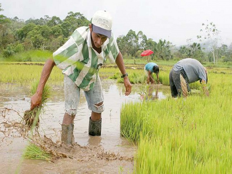 Junta de Usuarios sector hidráulico Menor del Chira colabora con el INIA para poner en marcha en el Chira la Campaña “PERÚ 2 M”