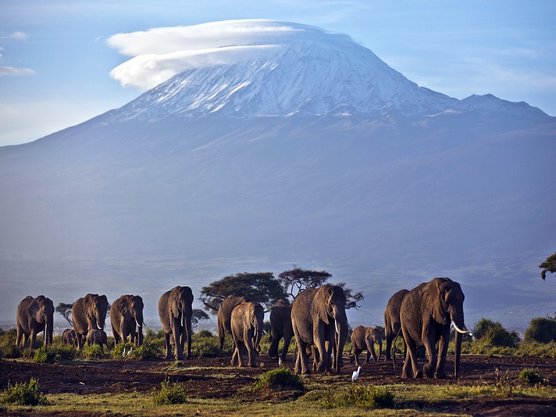 ¿África podría dar vida a un nuevo océano en la Tierra? Esto es lo que se sabe