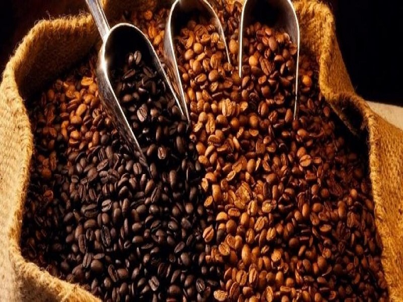 Día del café peruano: Provincias lideran las mayores exportaciones de café