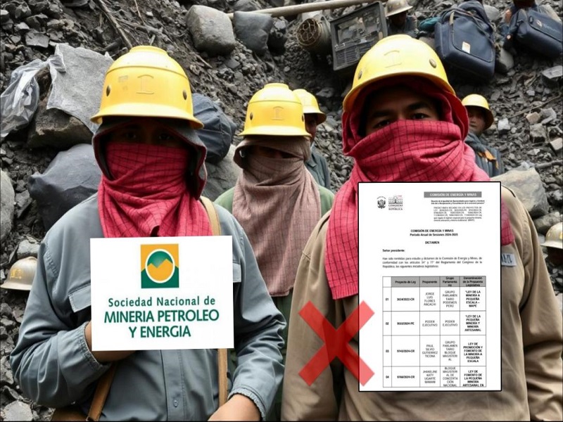 SNMPE: Predictamen de Ley MAPE “mantiene la impunidad de la minería ilegal”