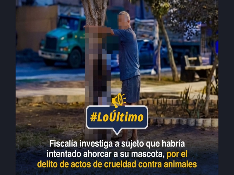 ¡Que se haga justicia! Inician diligencias contra sujeto que habría intentado matar a su perrito