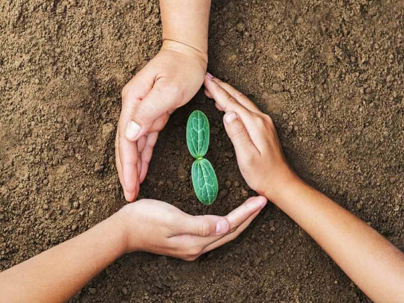 Día de la Mujer: Tres mujeres que impulsan proyectos de sostenibilidad en Perú