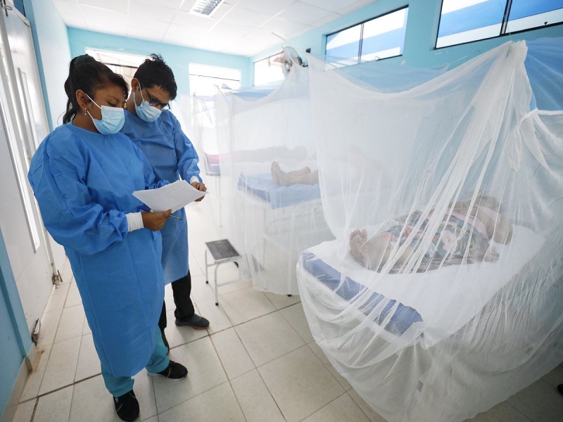 Prevenidos ante El Niño: Luis Solari afirma que Perú no tiene vacunas para enfrentar el dengue