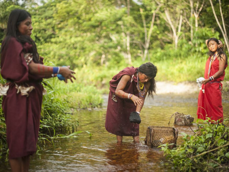 Presentan proyecto de ley para proteger a pueblos indígenas en aislamiento de grupos criminales en la Amazonía