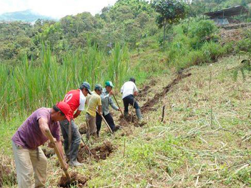 Entrega de semillas para la agricultura familiar de Sullana y San Lorenzo